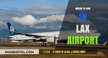 Running Routes Near LAX Airport