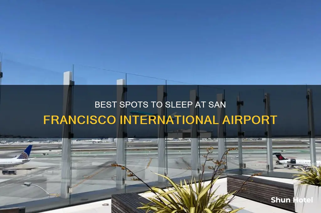 where to sleep in san francisco international airport