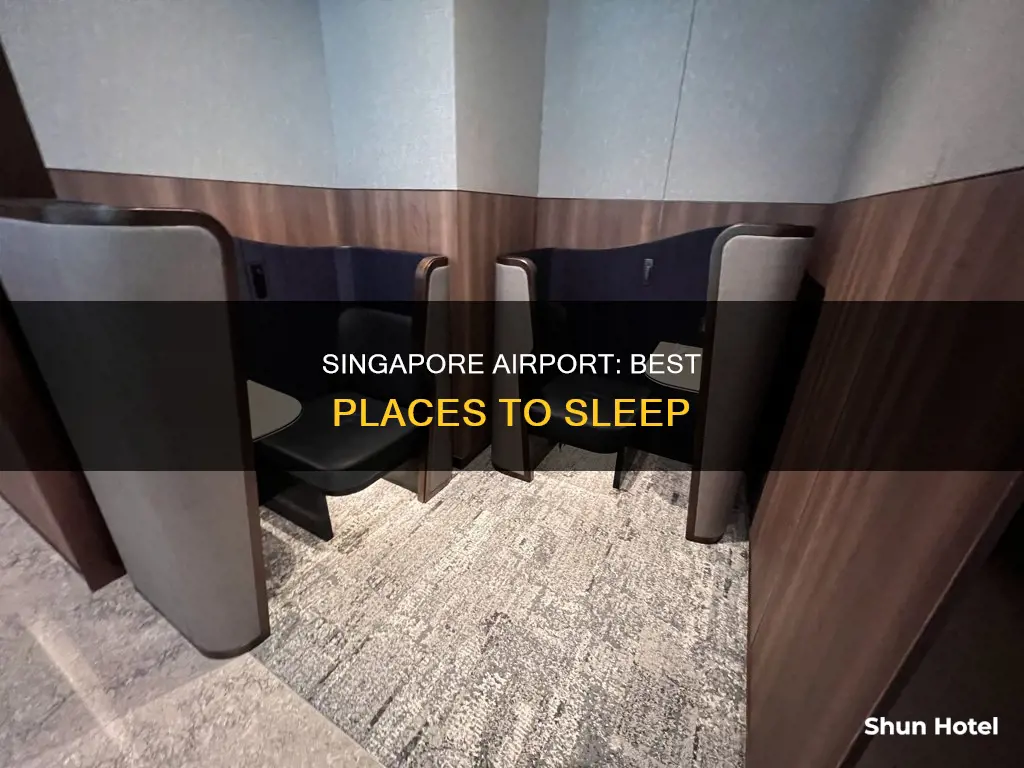 where to sleep in singapore airport