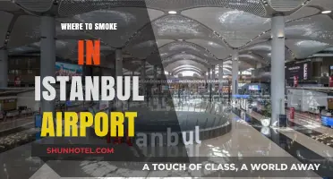 Istanbul Airport Smoking Lounges: Where to Light Up