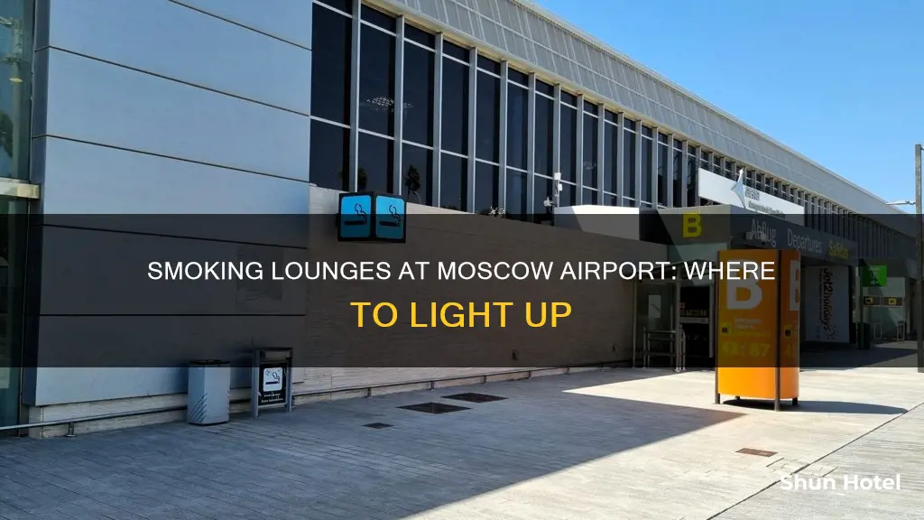 where to smoke in moscow airport