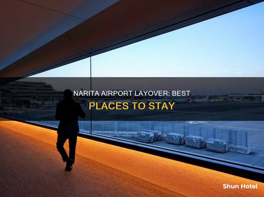 where to stay at narita airport