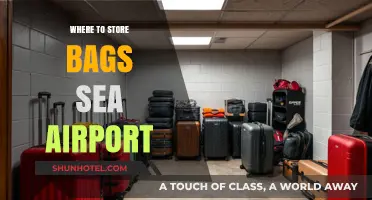 Airport Bag Storage: A Traveler's Guide