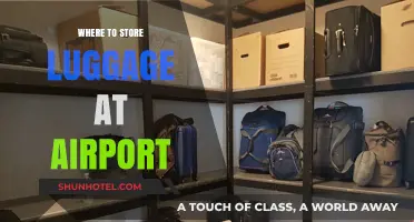 Exploring Airport Luggage Storage Options