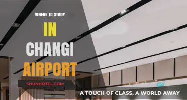 Study Spots in Changi Airport