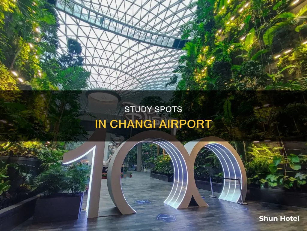 where to study in changi airport