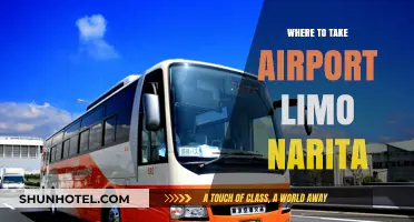 Narita Airport Limo: Where to Board?