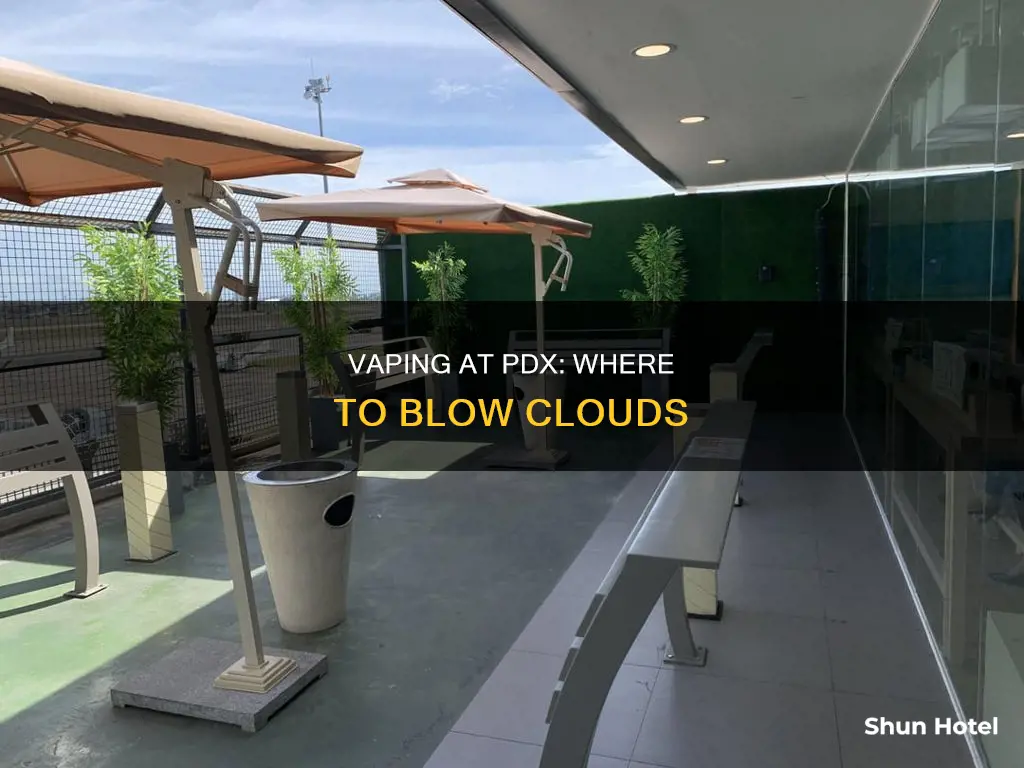 where to vape in pdx airport