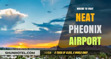 Explore Phoenix: Best Places Near the Airport