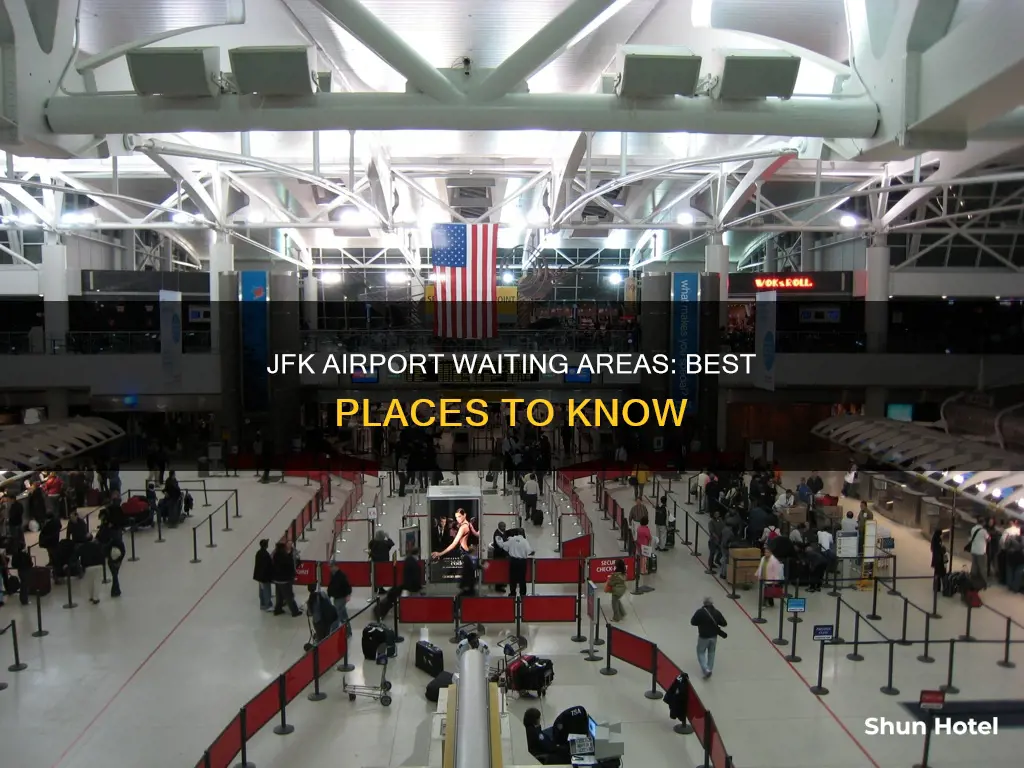 where to wait at jfk airport