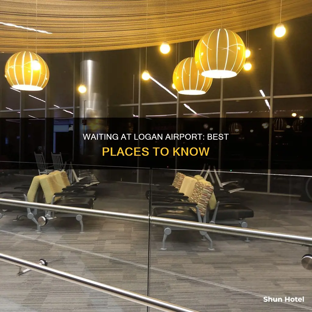 where to wait at logan airport