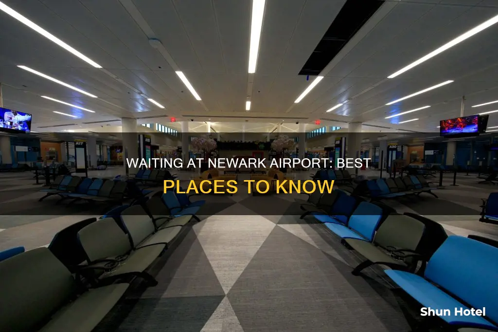 where to wait at newark airport