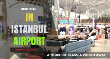 Istanbul Airport Layover: Best Places to Wait it Out