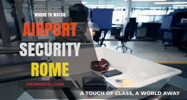 Airport Security Rome: Where to Stream the Show?