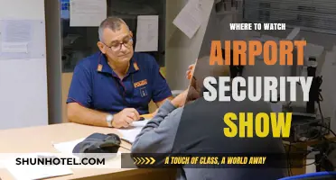 Best Platforms to Watch Airport Security Show