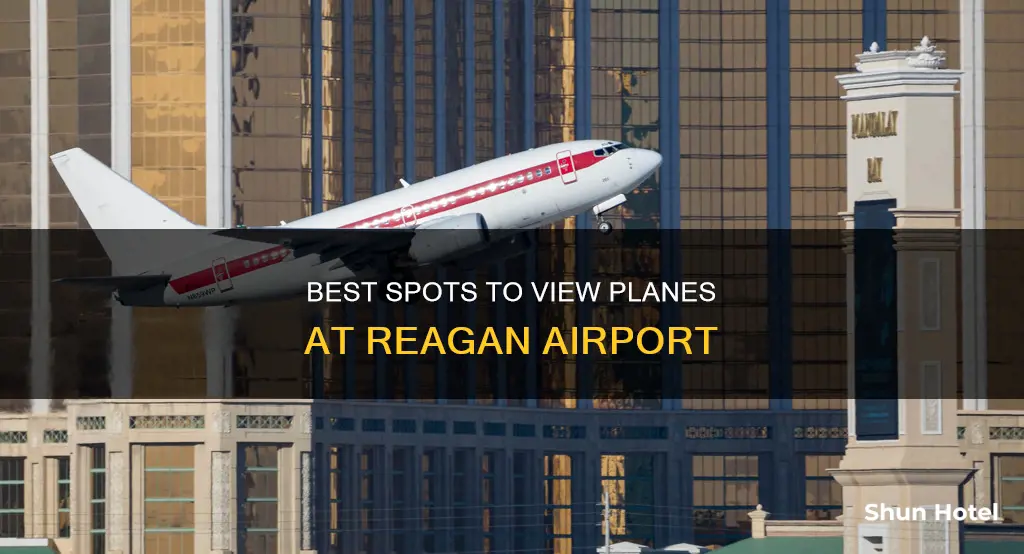 where to watch plains raygan airport