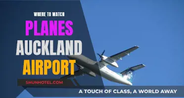 Auckland Airport Plane Spotting: Best Viewing Spots