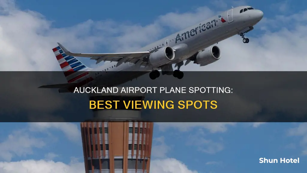 where to watch planes auckland airport