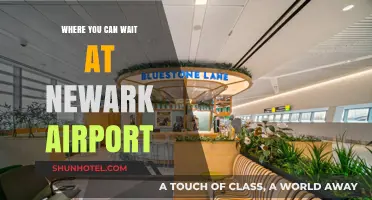 Exploring Waiting Areas at Newark Airport
