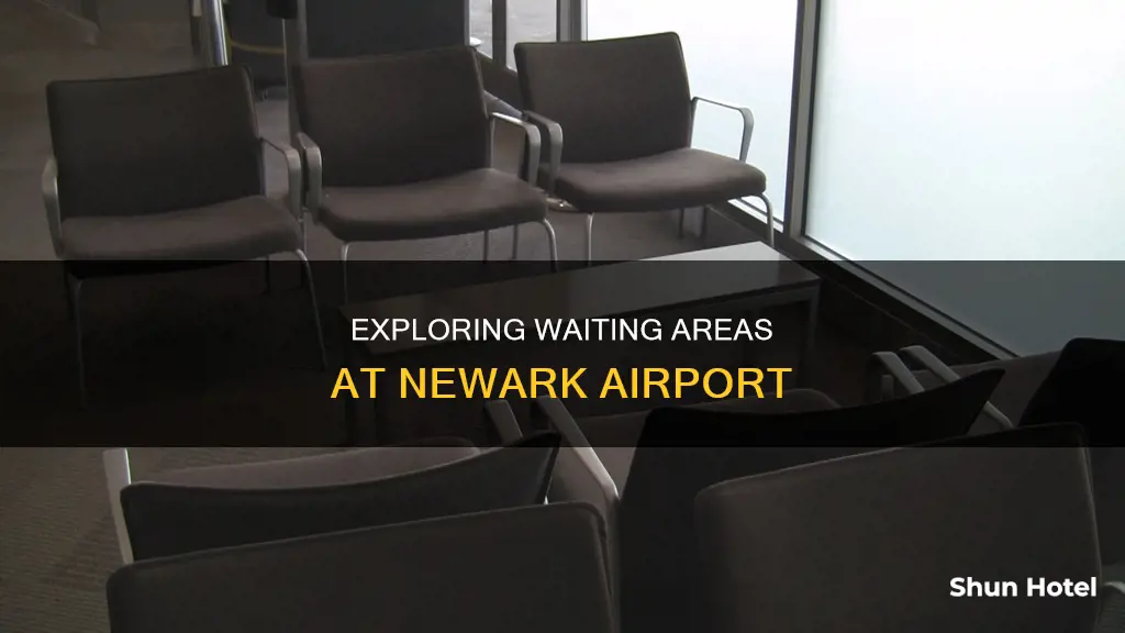 where you can wait at newark airport