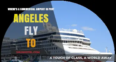 Port Angeles Airport Destinations: Where Can You Fly From Here?