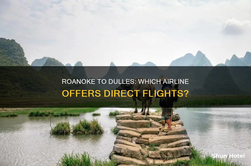 which airline flies from roanoke virginia to dulles international airport