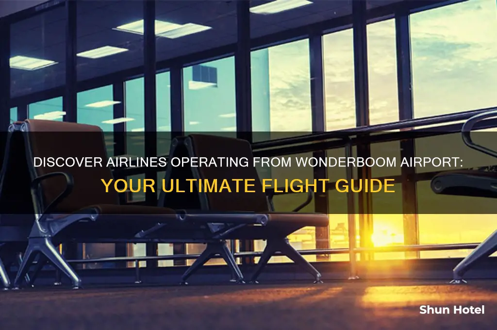 which airline flies from wonderboom airport