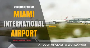 Top Airlines Offering Flights to Miami International Airport