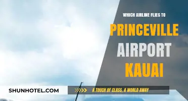 Discover Airlines Serving Princeville Airport Kauai: Your Ultimate Travel Guide