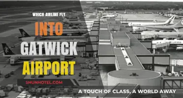Airlines Serving Gatwick: Your Comprehensive Guide to Carriers at LGW