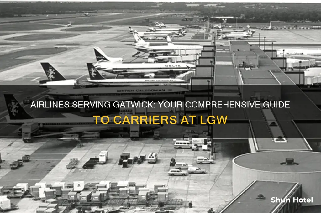 which airline fly into gatwick airport