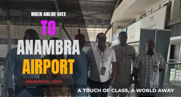 Best Airlines to Anambra Airport: A Comprehensive Guide