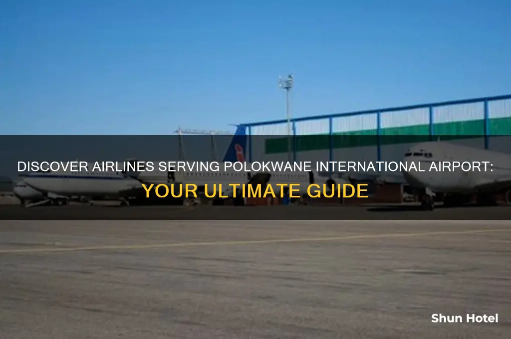 which airline is operating at polokwane international airport