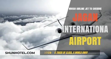 Best Airline Jets to Cheddi Jagan International Airport: A Comprehensive Guide