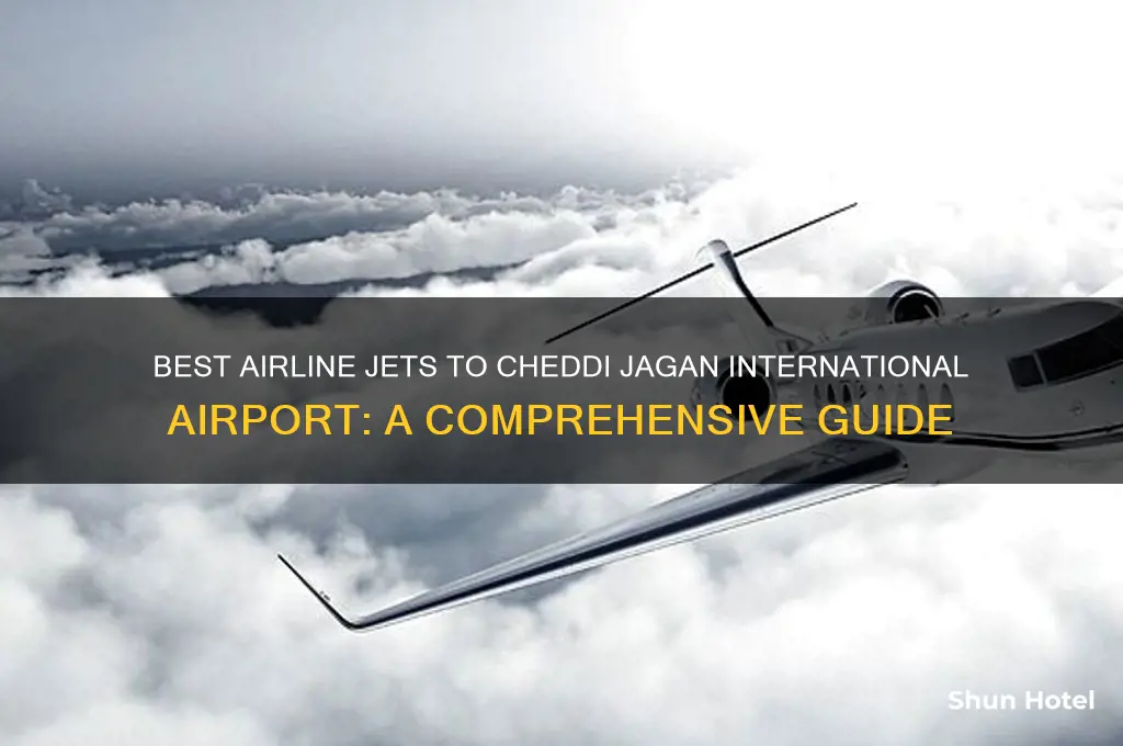 which airline jet to cheddie jagan international airport