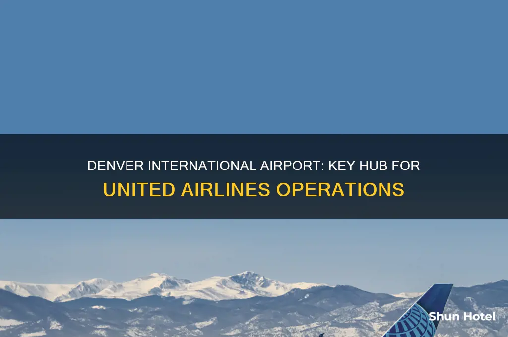 which airline uses denver international airport as a hub