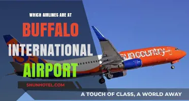 Buffalo International Airport Airlines: A Comprehensive Guide to Carriers