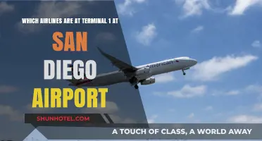Exploring San Diego Airport: Terminal 1's Airline Residents