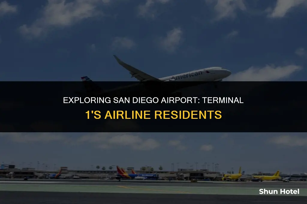 which airlines are at terminal 1 at san diego airport