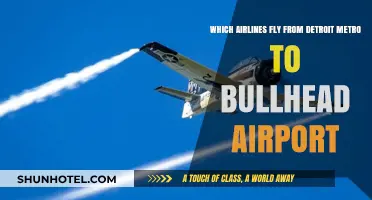 Airlines Connecting Detroit Metro to Bullhead Airport: Your Travel Guide