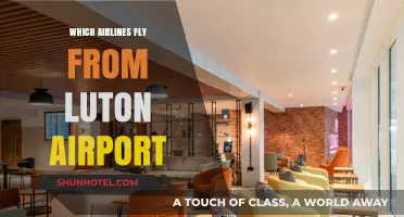 Airlines Operating from Luton Airport: Your Comprehensive Flight Guide