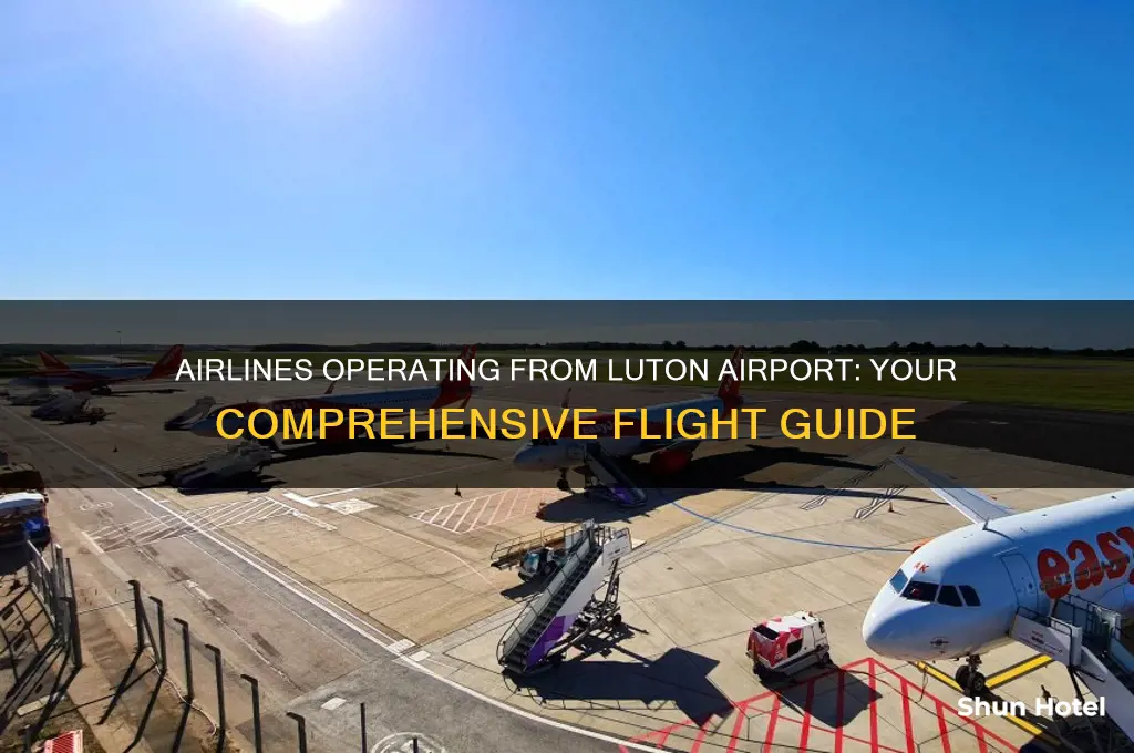 which airlines fly from luton airport