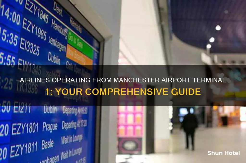 which airlines fly from manchester airport terminal 1