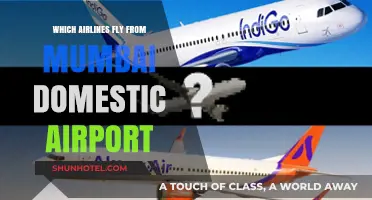 Airlines Operating from Mumbai Domestic Airport: Your Complete Guide