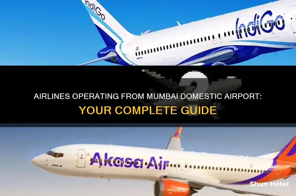 which airlines fly from mumbai domestic airport