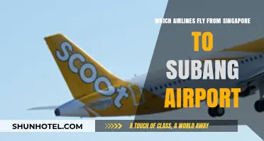Airlines Connecting Singapore to Subang Airport: Your Travel Options