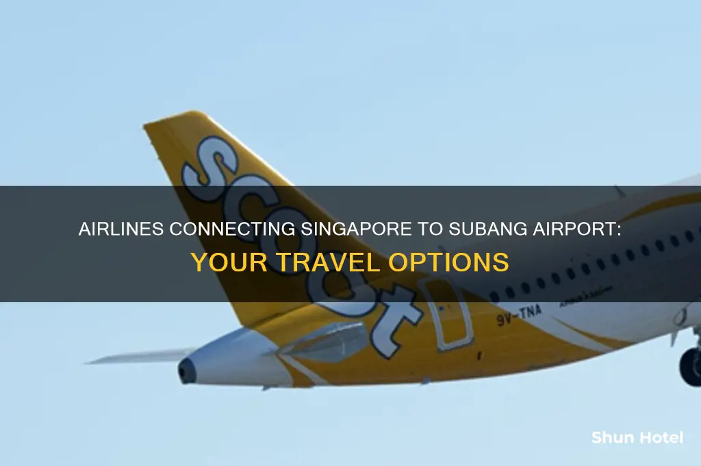 which airlines fly from singapore to subang airport