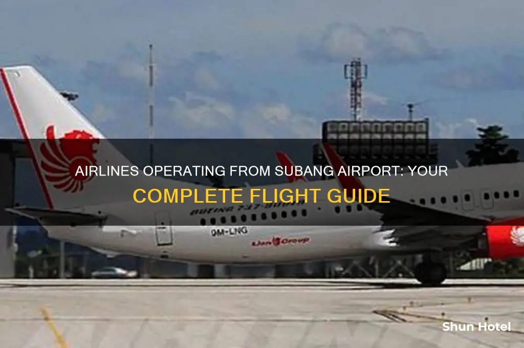 which airlines fly from subang airport