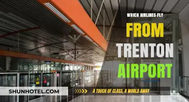 Airlines Departing Trenton Airport: Your Comprehensive Flight Options Guide
