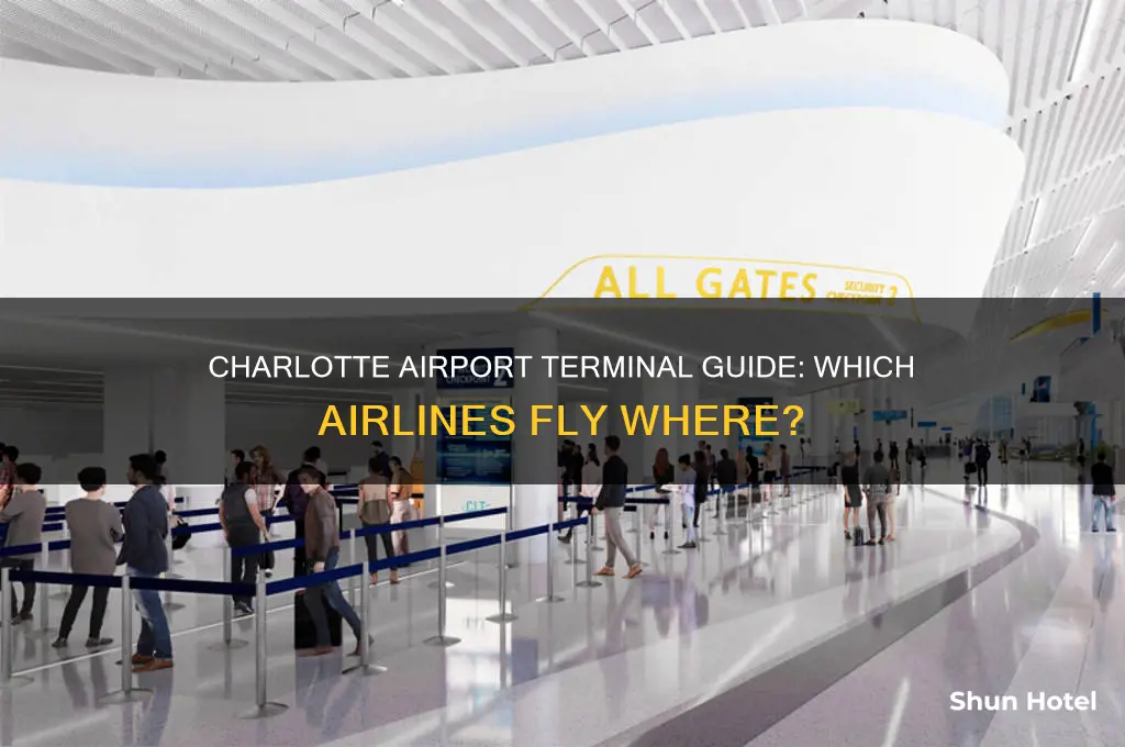which airlines fly from which terminal at charlotte airport